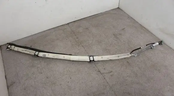 Mercedes-Benz CLS C219 Roof airbag A2198600005