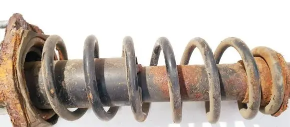 Rear coil spring