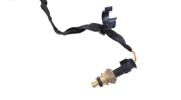 Polestar 2 Oil temperature sensor 30668661