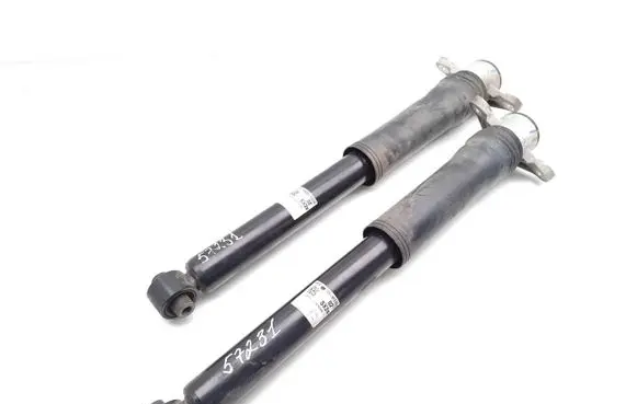 Rear shock absorber/damper
