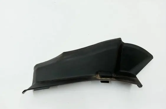Rear/tail light trim molding
