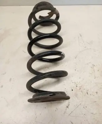 Rear coil spring