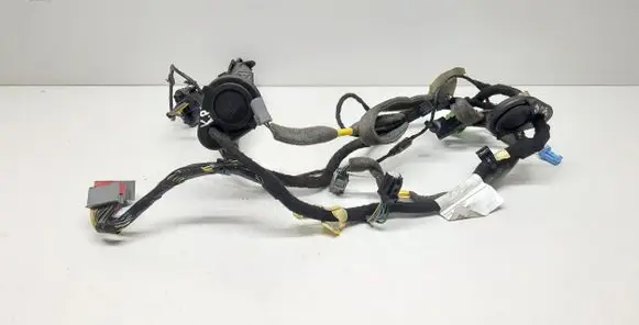 Front door wiring loom
