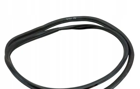 BMW X6 E71 Rubber seal front door (on door) 