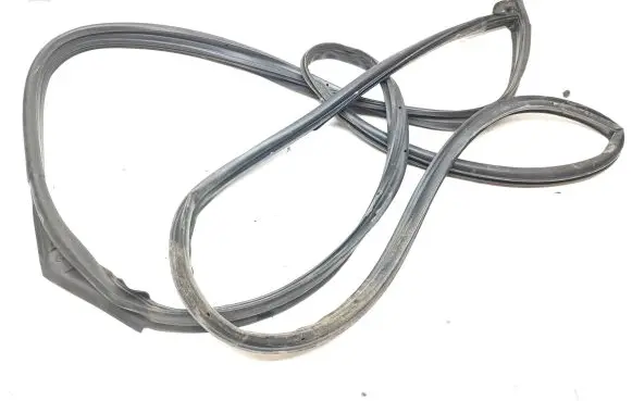 Renault Kadjar Rubber seal front door (on door) 