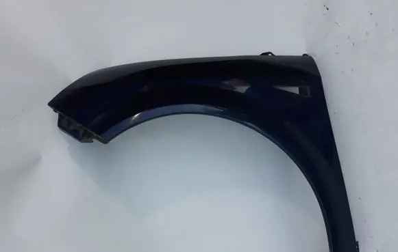 Renault Scenic II - Grand scenic II Fender