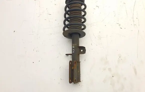 BMW X5 E53 Front shock absorber with coil spring 6754344 31316754344 22194426