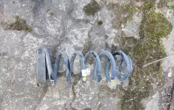 Rear coil spring