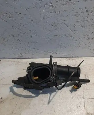 Thermostat/thermostat housing