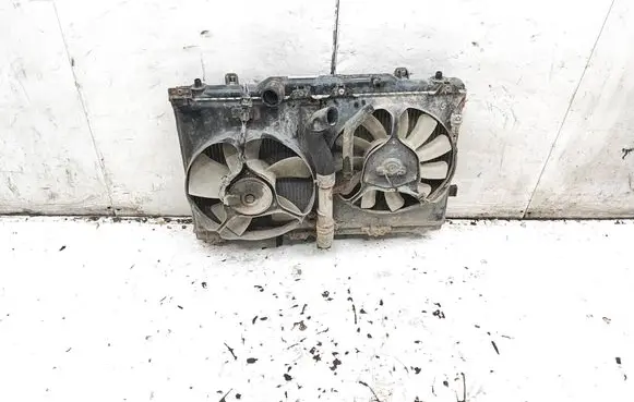 Suzuki SX4 Coolant radiator 64198 2021W31 9885