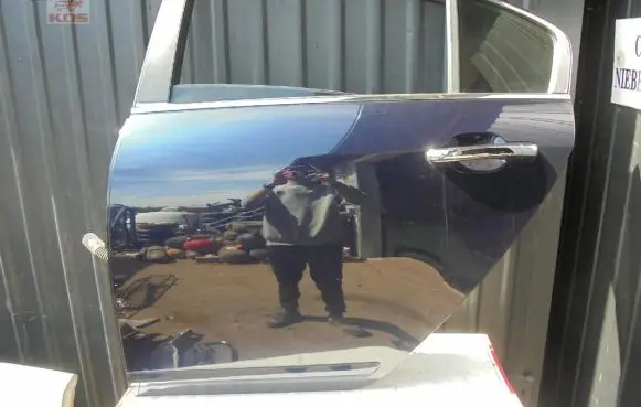 Hyundai Genesis Rear door