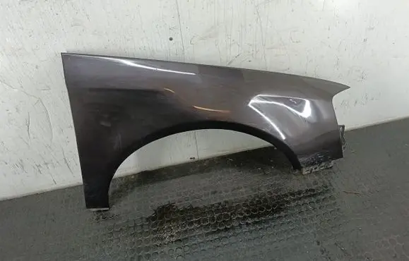 Volkswagen PASSAT B6 Fender LC8Z