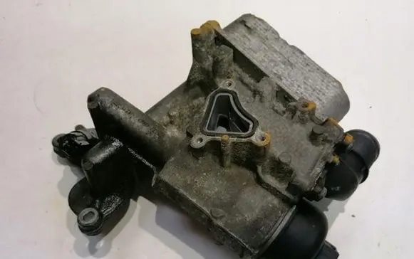 Renault Koleos I Oil filter mounting bracket