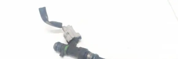 Nissan Qashqai Fuel injector FBY1160 6008124