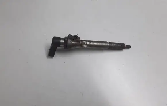 Nissan Qashqai Fuel injector H8200294788