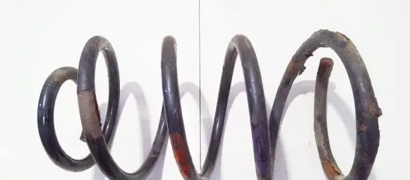 Front coil spring