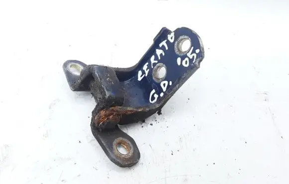 KIA Cerato Rear door lower hinge NOCODE