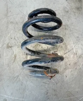 Rear coil spring
