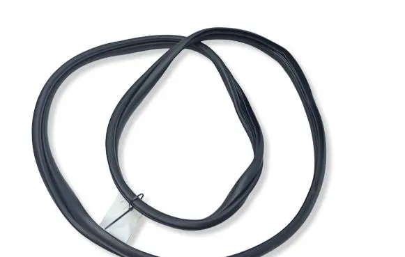 KIA Niro Rear door rubber seal (on body)