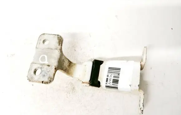 Renault Kangoo II Rear door lower hinge 117113602b