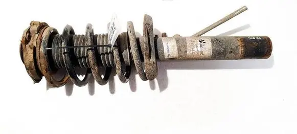 Volkswagen Tiguan Front shock absorber/damper 317581 824904013023