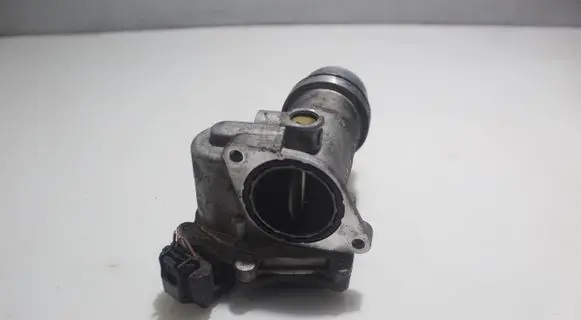 Renault Kangoo II EGR valve 183405713