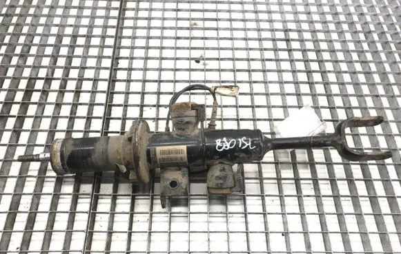 BMW 7 F01 F02 F03 F04 Front shock absorber/damper 4064272