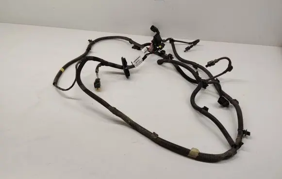 Other wiring loom