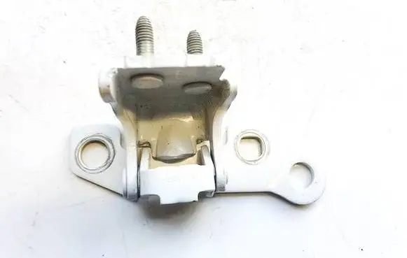 Renault Zoe Rear door lower hinge 04370r