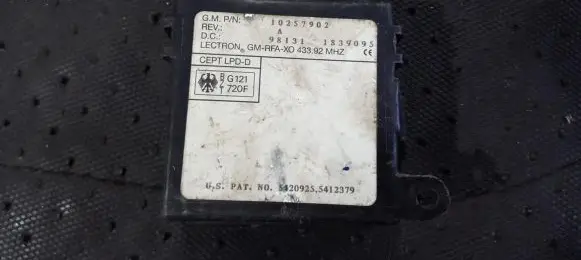 Opel Sintra Other control units/modules 10257902 98131