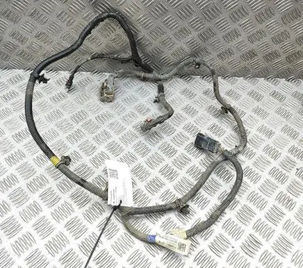 Tesla Model 3 Other wiring loom 148905101D