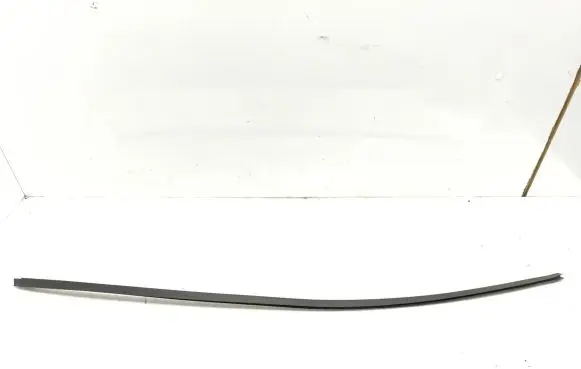 Renault Avantime Rubber seal front coupe door window 