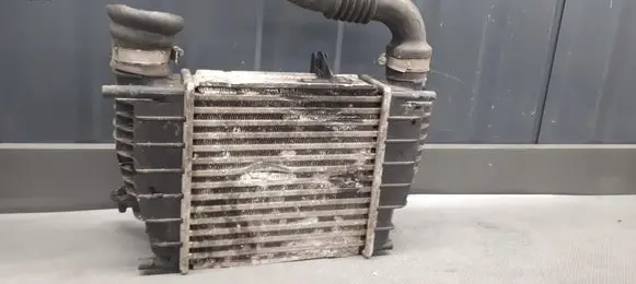 Renault Clio III Intercooler radiator 880590XB
