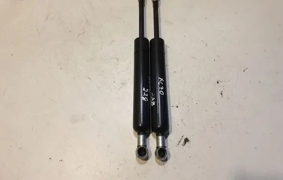 Tailgate/trunk strut/damper