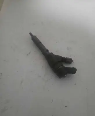 Citroen Berlingo Fuel injector 0445110062