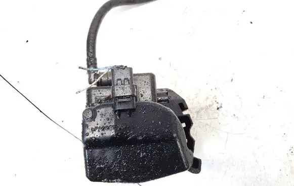 Citroen C3 Picasso Fuel filter 0450907006