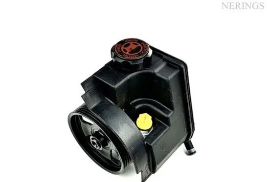 Citroen Berlingo Power steering pump 04.07.0282