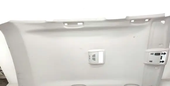 BMW X1 E84 Headlining 2991789