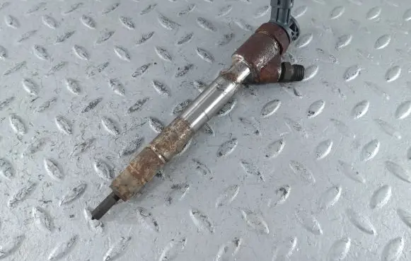 Citroen Berlingo Fuel injector 9828959880 0445110955