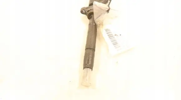 Citroen C4 I Picasso Fuel injector 0445110297