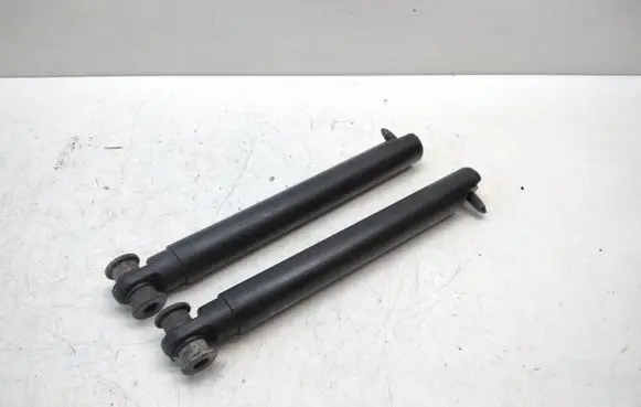 BMW X5 E53 Tailgate strut 8402195