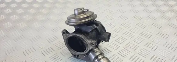 Mercedes-Benz ML W163 EGR valve A6110900754