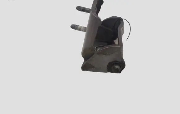 Renault Clio III Rear door lower hinge