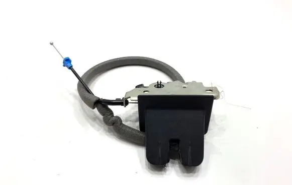 Audi Q3 F3 Tailgate exterior lock 81A827506