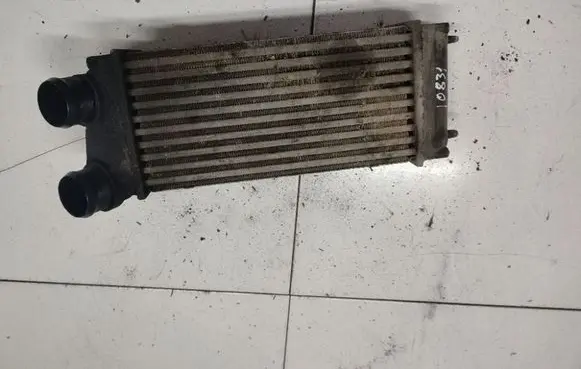 Citroen C4 I Intercooler radiator 