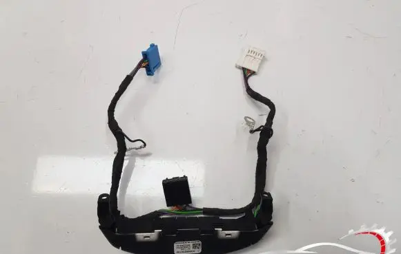 Mercedes-Benz S W222 Trunk lid opening control unit 