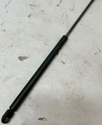 Tailgate/trunk strut/damper