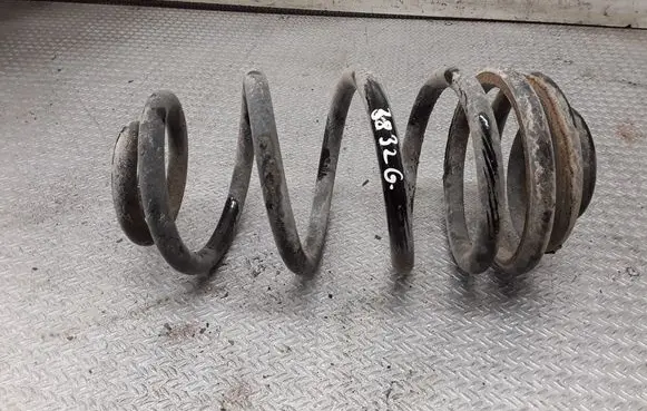 Rear coil spring