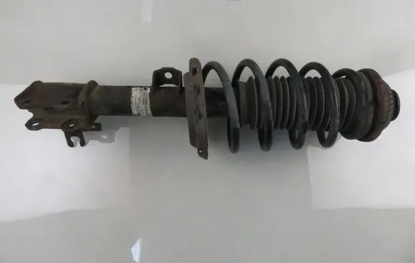 Opel Astra H Front shock absorber with coil spring 22214598