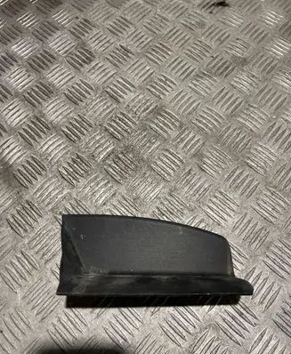 Rear/tail light trim molding